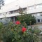 799-p1e2nh7au1185ln1j1716dqkf9i4.jpg
