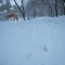 af9-p1a35fh0t4168898e17h015hd1vv5.jpg