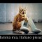 3d7c1c9fe06527e595ba699fdacb7548-64177654_-mamma-mia-italiano-pissuaro.jpg