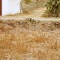 3e54de78165d53d25dc95e5efeec914b-getimagecagk4pae.jpg