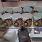 9c4-p1a88imm801lu91vt31quk1mepu4d6.jpg