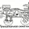 17c-p1a8bafdb914kl12ma17lbb6i1p5k3.jpg