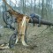 b92-p1agrcu41n1ve41u8o94e1jcb191m5.jpg