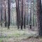 b1e-p1ais8b2p01plh1onmjspi1f1t0n8.jpg