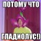 2af-p1alloqhbd1mac1r42arg1abd8tf4.jpeg