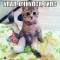 58e-p1al2q0sdc8l11q5c6kn1i8e9du4.jpeg
