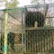 696-p1aktdcjh8ta1es9jgpmfapa69.jpg