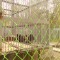 696-p1aktdcjh91qe6nd787128vatcc.jpg