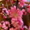 7bc-p1cdk8gmt917bb8cmduf1eae91n4.png