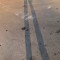 759-p1cclkm18nsl91ujh9320ksb04.jpg