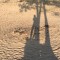 c94-p1djlo57721m94mmqqi2tsm1as74.jpg