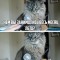 f2b-p1ambld7fq5ih19df1nhs1iu1msc7.jpg