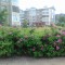 fde-p1aloklcbp1gb01c8nus81a9u1rl64.jpg