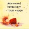 bd9-p1ar8p819c1l6u1hc115eicmbjrs4.jpg