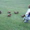 32f-p1ann46v4e2ts7vs1u0o1fqtbgs4.png