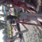 5fc-p1ann8c8i5g50uhl1uia6cnini7.jpg
