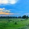 a5e-p1anree04s1f2912ni1a75n7jmbm4.jpg