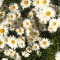 47e-p1ap0iqgpjnsl1ef9121a9uq1o2t5.jpg
