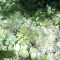 638-p1ap0jtk009l6d8q1icaj7gmsv4.jpg