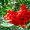 f75-p1aro16dfdeo7128qtlp2mp1s0a6.png