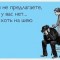 43cc7963cc7eaa80a2895f88bb1bd68e-tjv1rpeygp8.jpg