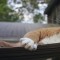 a7e-p1ckc58bqf1pd9lkf52ag91124k6.jpg
