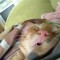 a7e-p1ckc59ct36f8f5l5ggfck1kfp8.jpg