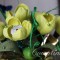 4412fd542d5be5676f88d4f373bcfeea-img_1265.jpg