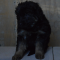 da0-p1b3k6s9k47qs1fde1u3o13928sh4.png