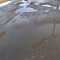 412-p1bc066q211u3kja71dfsscv1ncn4.jpg