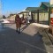 aef-p1b43qh9tm7781ndqmtf2slib84.jpg