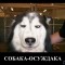 6a6-p1bb6oh2rgvkgb1i1csf11hr168u4.jpg