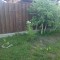 0d3-p1bigou4cfr3ims3npt585mtt5.jpg