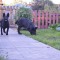 8cb-p1blo0aksk1sv615v6bl1tnh18dfb.jpg