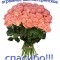 d04-p1blfhl2gf1mj617rt10ai141skcl4.jpeg