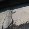 472a8bc1b38b9c6049537b889770a39c-img_3169.jpg