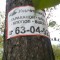 489-p1bmvi660l12ma1lb0131ko8a1j1ja.jpg