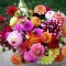 525-p1bparmk6pv91amo1ofm94617rd6.jpeg