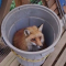 1aa-p1g9rgugi51doifq750516r510665.png