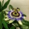 20b-p1eb08qedm12msm3iifpbe41ju74.jpeg