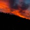 508-p1ed9jurpv176o1g1gfil19f41vmp4.jpeg