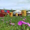 61f-p1dajj8qj71hrcql41nvfvr1aun7.jpeg