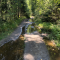 799-p1cltvmolap4a1jhg18pnb51433a.png