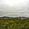 920-p1bpo2radj10qbjua1dvb1ig41f9i5.png