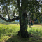 984-p1cltvp2j59487cpsl6k4fki17.png