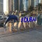 9b3-p1f6p0u9oe141ft8912a31af9o804.jpeg