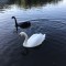 b70-p1dgd635n71uk2r7p10711vep5i44.jpeg