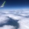 d13-p1g4v3o6ff163s6rg711hh51ega4.jpeg