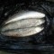 f71-p1cup1qk681dfuvbvp5018i21vou4.jpeg