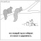 246-p1doqvvs3cb911c2412stlfu13ji4.jpeg